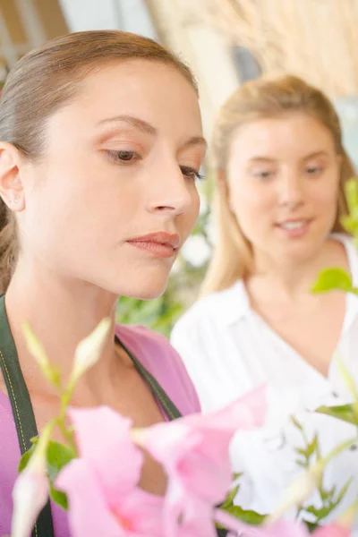 Ensinando a ser um florista — Fotografia de Stock