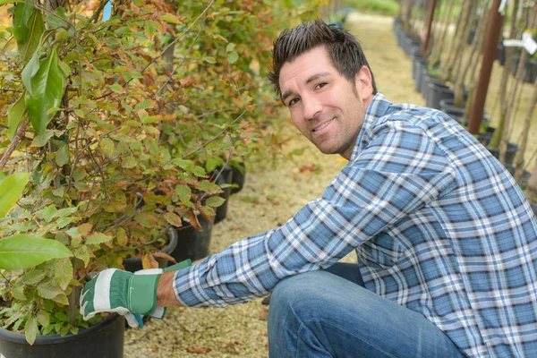 Ervas daninhas as plantas e trabalho — Fotografia de Stock