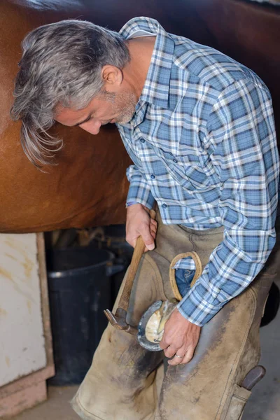 Installing the horseshoe on the hoof — Stock Photo, Image