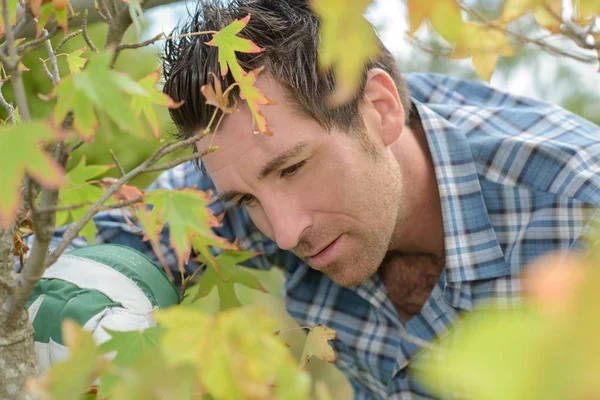 Jardinería y hombre — Foto de Stock