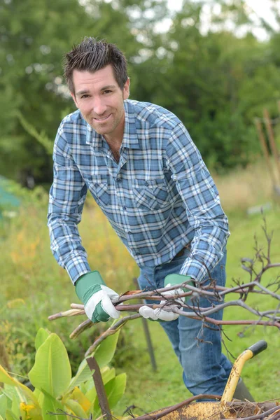 Samla in torra kvistar och arbete — Stockfoto