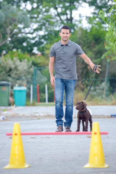 Чоловік тренує собаку і тренує — стокове фото