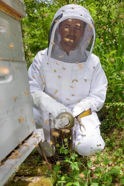 Klečel vedle úlu včelaře — Stock fotografie