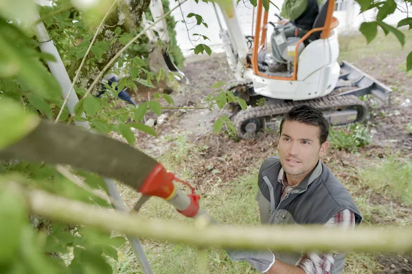 Tuinman met lang behandeld zaag om boom snoeien — Stockfoto