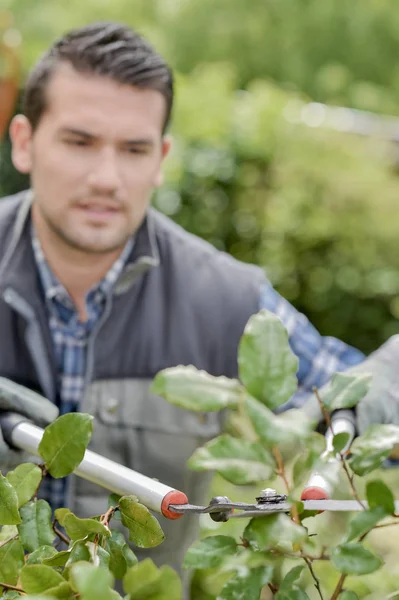 Jardineiro no trabalho e jovens — Fotografia de Stock