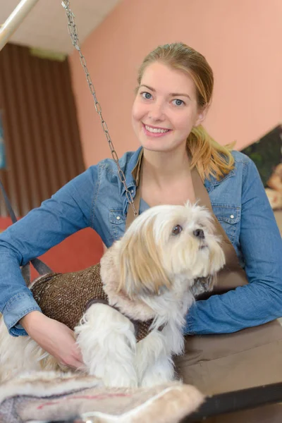 Pet grooming business and pet — Stock Photo, Image