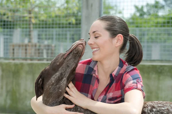 Shelter keeper loves her residents — Stock Photo, Image