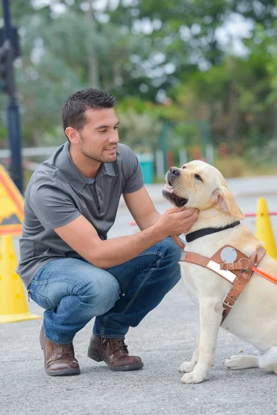 男ふれあい犬と人間 — ストック写真