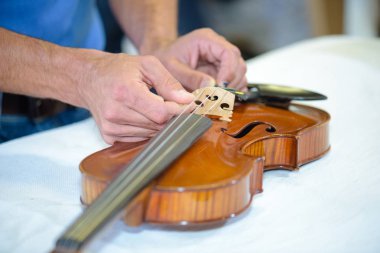fixing the string and luthier clipart