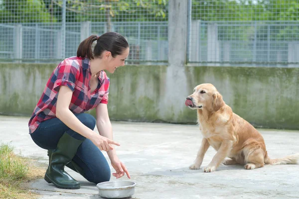 Animal shelter volunteer feeding the dogs — Stock Photo, Image