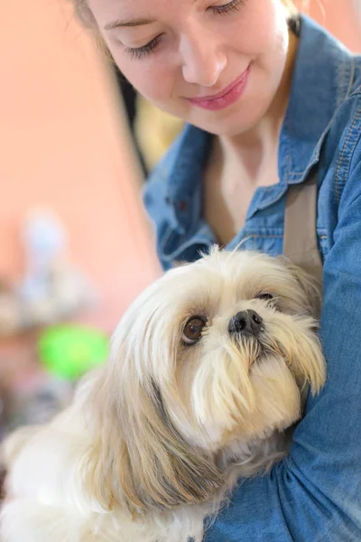 Evcil hayvan dükkanında genç kadın ve köpeğinin portresi. — Stok fotoğraf