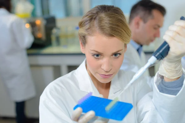 피 펫에서 샘플을 수집 하는 여성 실험실 기술자 — 스톡 사진