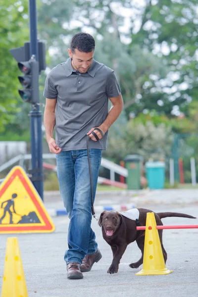 障害物コースの周りの男を犬 — ストック写真