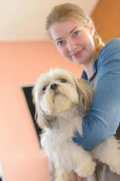 Happy woman and dog in grooming salon — Stock Photo, Image