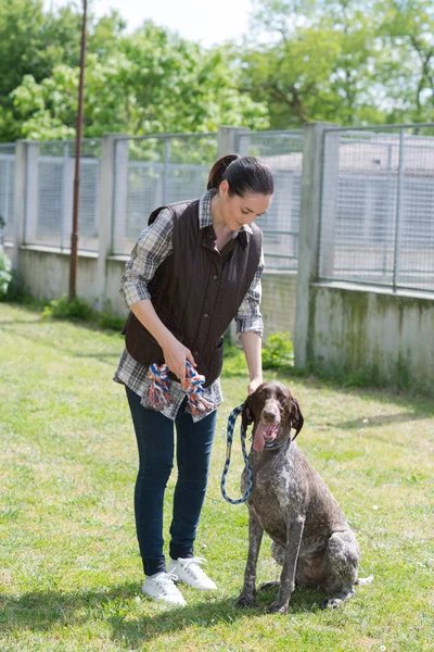 Dedicado chica entrenamiento perro en kennel — Foto de Stock