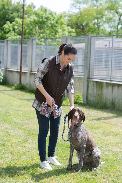 専用少女訓練犬の犬小屋 — ストック写真