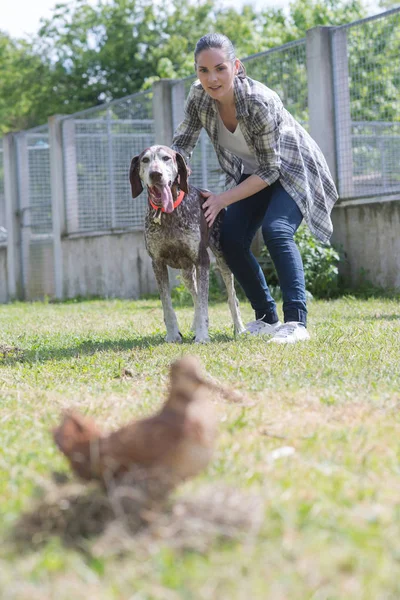 Dedikált lány képzés kutya kennel — Stock Fotó