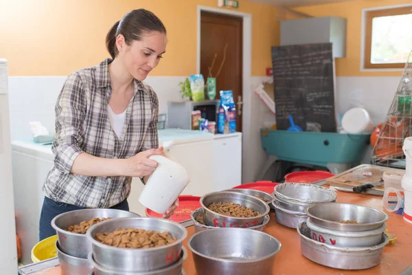 Mulher bonita preparando tigelas de comida de cão no abrigo de animais — Fotografia de Stock