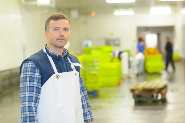 Porträtt av man i fabrik — Stockfoto