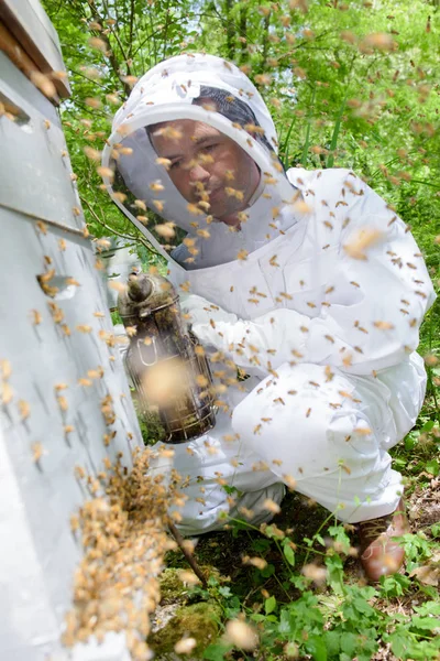 Man applying smoke to bee hive