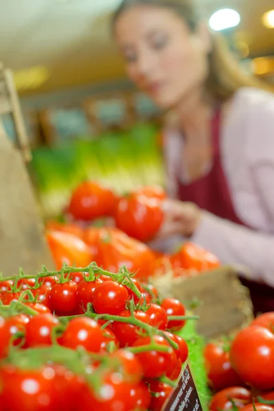 Черри помидоры и аперитив — стоковое фото