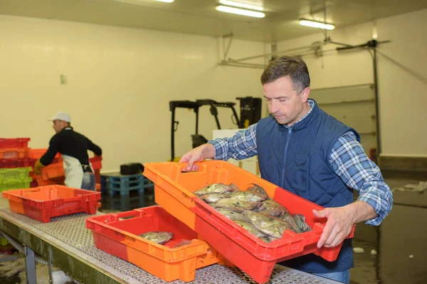 Торговец рыбой, перевозящий ящик и торговец рыбой — стоковое фото