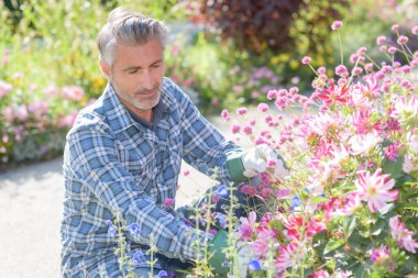 gardner tending to flowers clipart