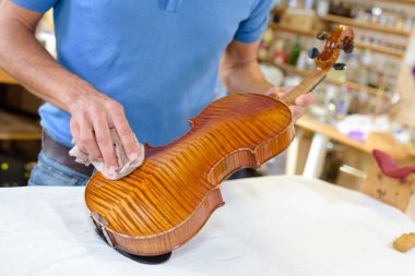 wiping a violin and luthier clipart