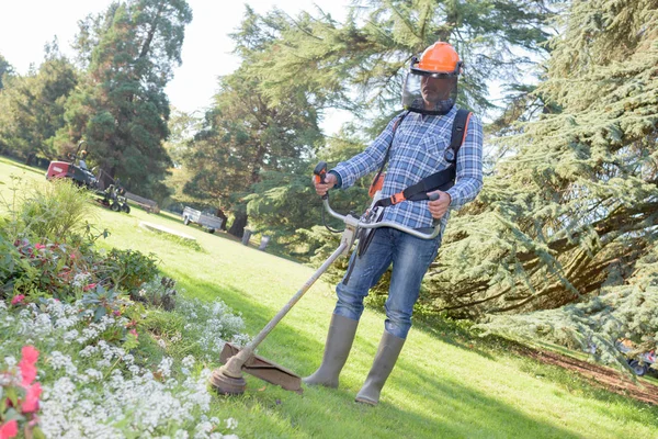 Underhåll av trädgården och arbete — Stockfoto