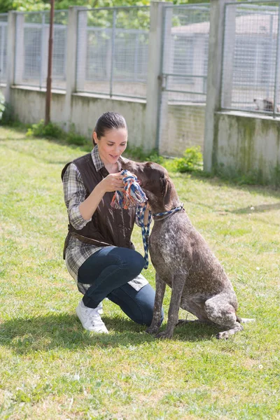 Canil voluntário brincando com cão mais velho abandonado — Fotografia de Stock