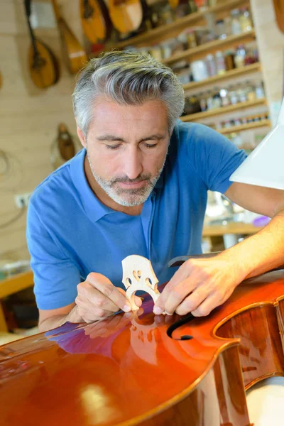 Fijación de un violonchelo y luthier —  Fotos de Stock