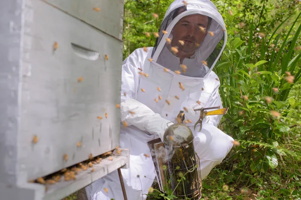 Včelař kouření včely a včelaře — Stock fotografie