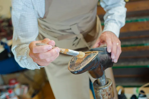 Pegamento de pintura Cobbler en la suela del zapato — Foto de Stock