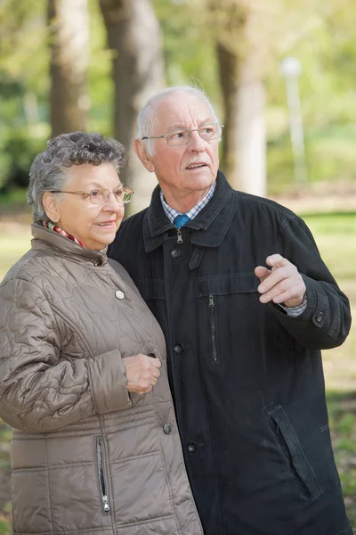 Älteres Ehepaar im Wald — Stockfoto