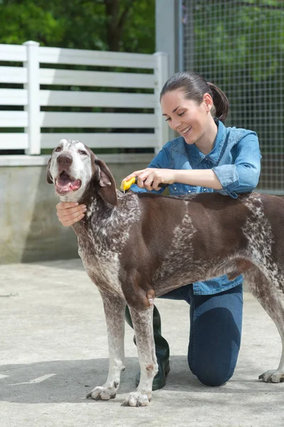 Женщина-поглаживающая собаку в приюте для животных — стоковое фото