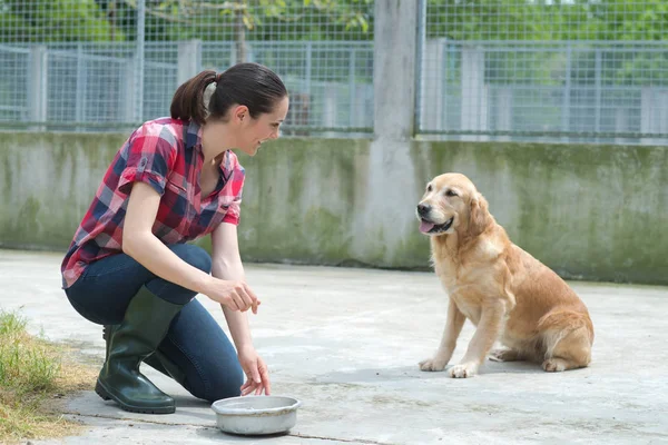 Zvířecí útulek dobrovolník krmení psů — Stock fotografie