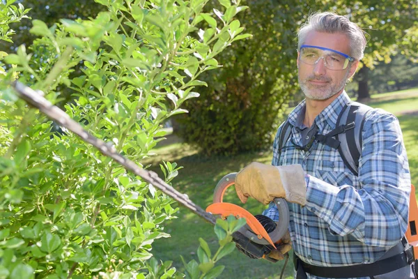 Skär den häcken och trädgård — Stockfoto