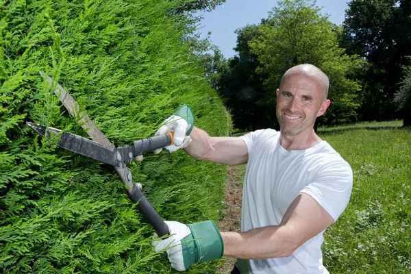 Portret van man trimmen hedge met schaar — Stockfoto