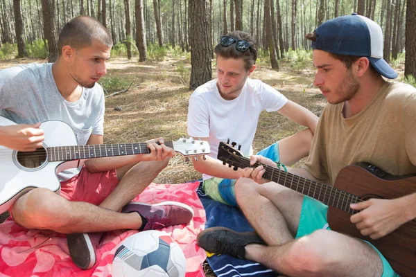 Vänner med gitarr och rekreation — Stockfoto