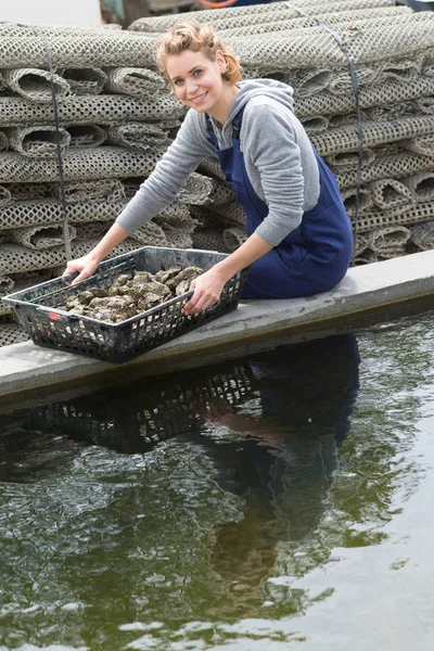 Criador de ostras posando y trabajando — Foto de Stock