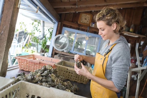 Mooie vrouw een oesters openen — Stockfoto