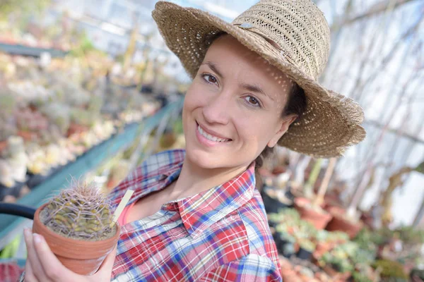 Alegre jardinero femenino sosteniendo un cactus en un invernadero — Foto de Stock