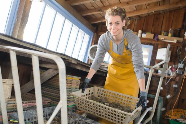 Mooie blonde oester boer pakt haar producten — Stockfoto