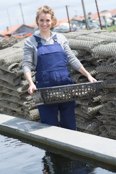 Austernbäuerin erntet ihre Erzeugnisse — Stockfoto