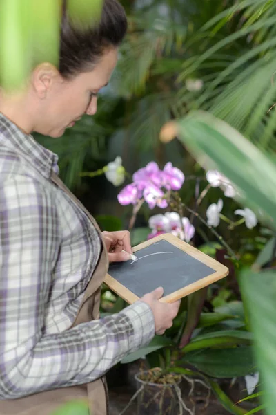 Kvinnan som en inspektör på en mat-plantage — Stockfoto