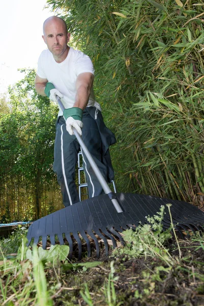 Homem raking as folhas durante a estação do outono — Fotografia de Stock