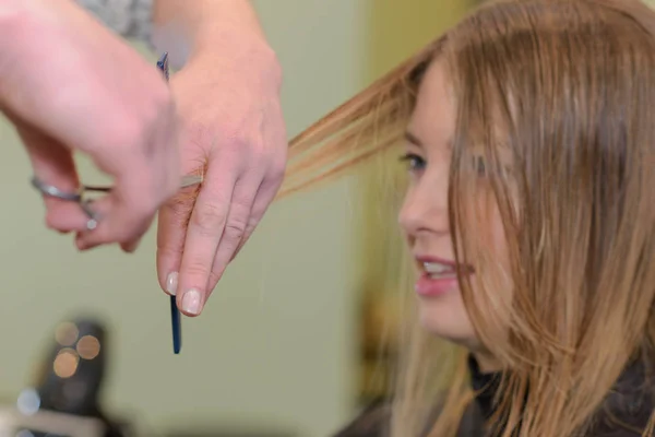 Hairdresser cut hair of a woman — Stock Photo, Image