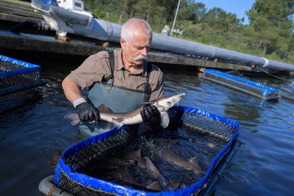 Fishermen and the fish farm — Stock Photo, Image