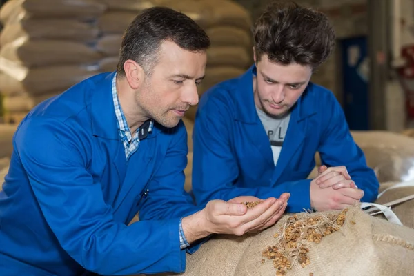 Arbeiter überprüfen die Qualität von Tabakmischungen in Verpackungen — Stockfoto