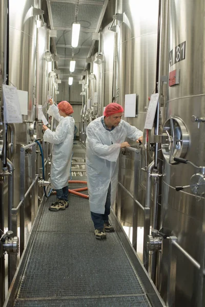 労働者は、醸造のプロセス コントロール検査を実行します。 — ストック写真